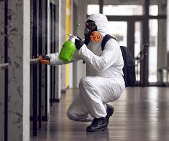 Best Environmental Consulting for Mold Prevention  in Thomaston, NY